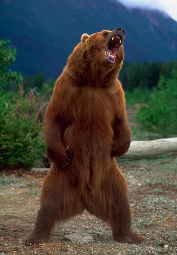 BIGFOOT MHP LLC